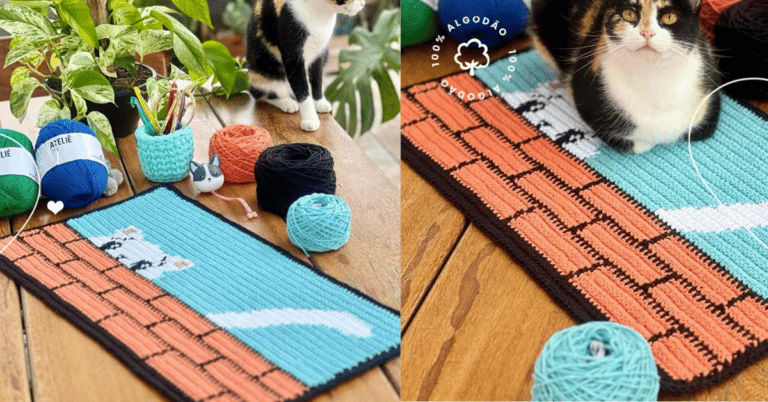 Faça o lindo tapete de gato em crochê: Passo a passo com gráficos