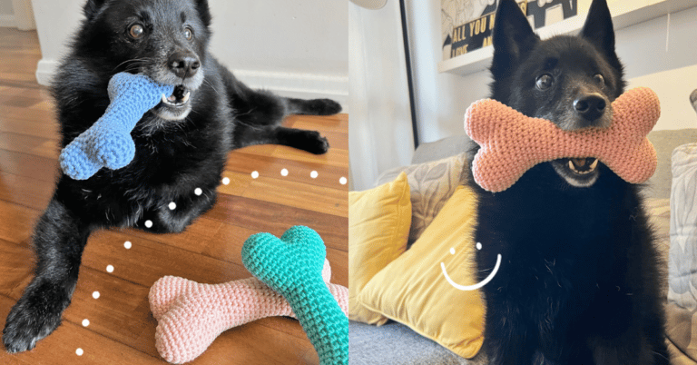 Faça o amigurumi de osso de cachorro em crochê: Passo a passo da receita