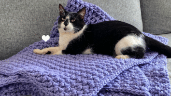 Manta de crochê Lavanda: Você precisa ter em casa!