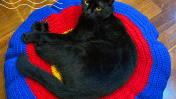 Almofada de crochê para seu Pet ficar a Vontade!