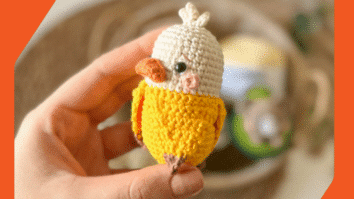 Amigurumi Patonana o Pato Banana