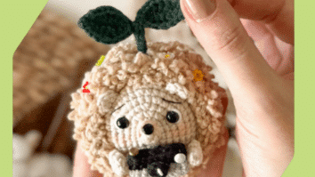 Amigurumi Ouriço fotógrafa – Fio BALLOON AMIGO e WEBB