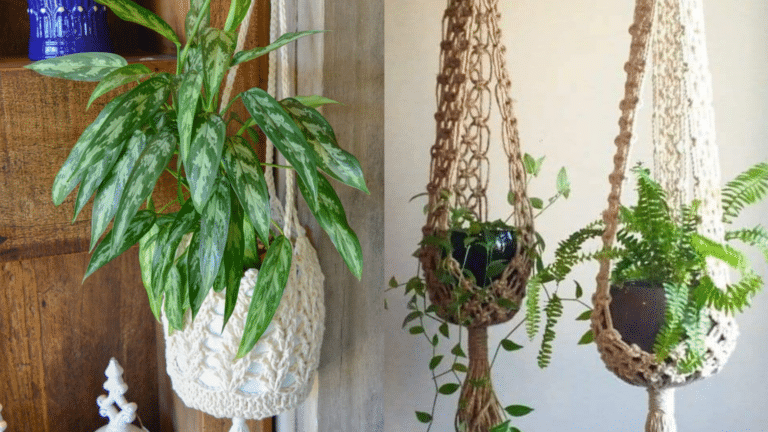 Suportes de Crochê para Plantas: Receita e Mais Idéias
