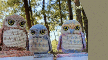 Amigurumi de crochê Corujinha