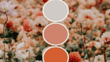 Como escolher a Paleta de cores do Seu Crochê