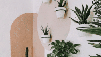 Renove seu Lar com a Técnica de Pintura Setorizada e Dê Vida Nova aos seus Ambientes