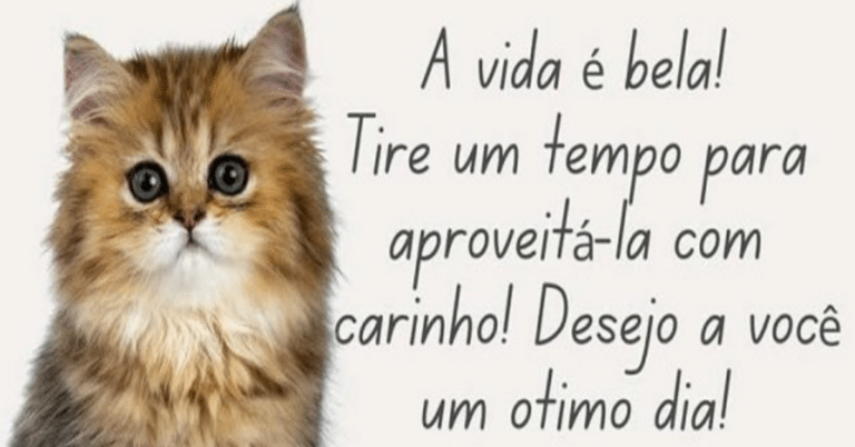 17 lindas Mensagens de Bom Dia para você!