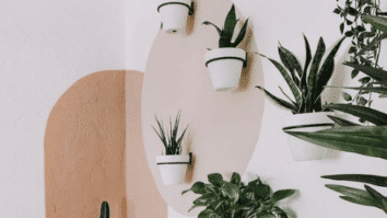 Descubra Como a Decoração Orgânica Pode Transformar sua Casa em um Paraíso