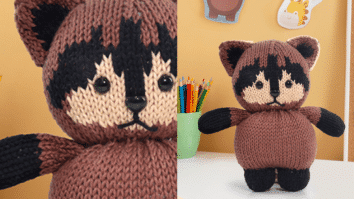 Amigurumi Guaxinim: Presente Pelúcia Encantador