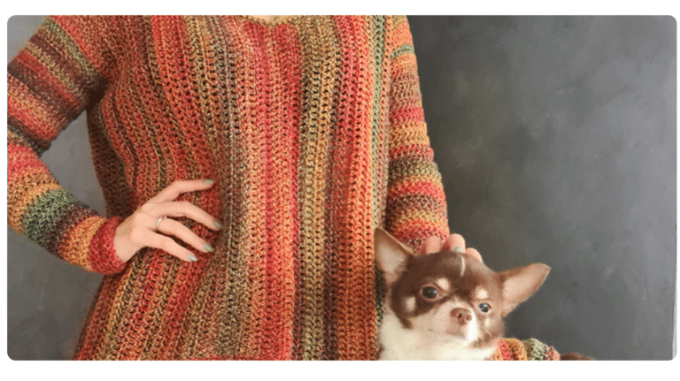 Blusa e Roupinha para Pet de Crochê: Estilo e Conforto para o seu Melhor Amigo Peludo
