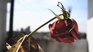 Por que você está com baixa autoestima? Veja possíveis causas e como reverter esse quadro