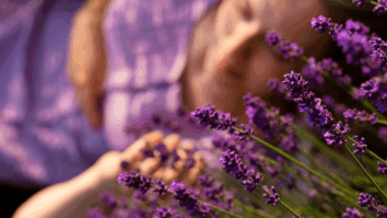 Conheça essas 4 Plantas Poderosas Que Expulsam Pulgas e Carrapatos do Quintal da sua Casa !