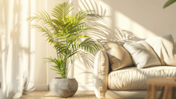 A Palmeira-Ráfia é tudo que você precisa para valorizar ainda mais a decoração da sua casa!