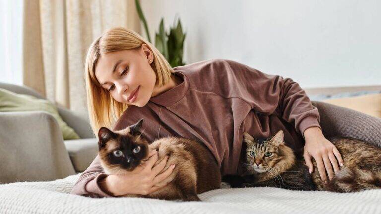Benefícios de conviver com gatos, segundo a psicologia