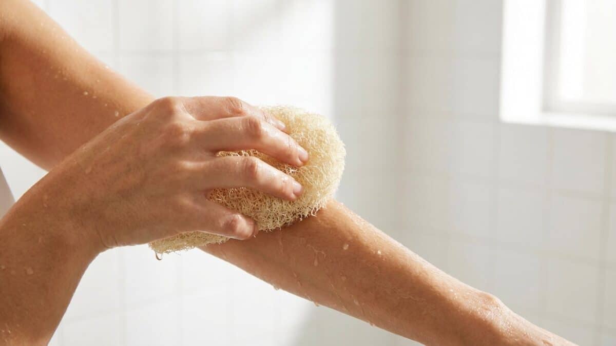 Uso Bucha Vegetal Pele