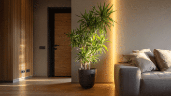 Uma planta está posicionada na entrada da casa, simbolizando prosperidade segundo o Feng Shui