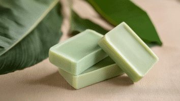Faça em Casa um Sabonete de Babosa Super Hidratante: Receita e Benefícios!