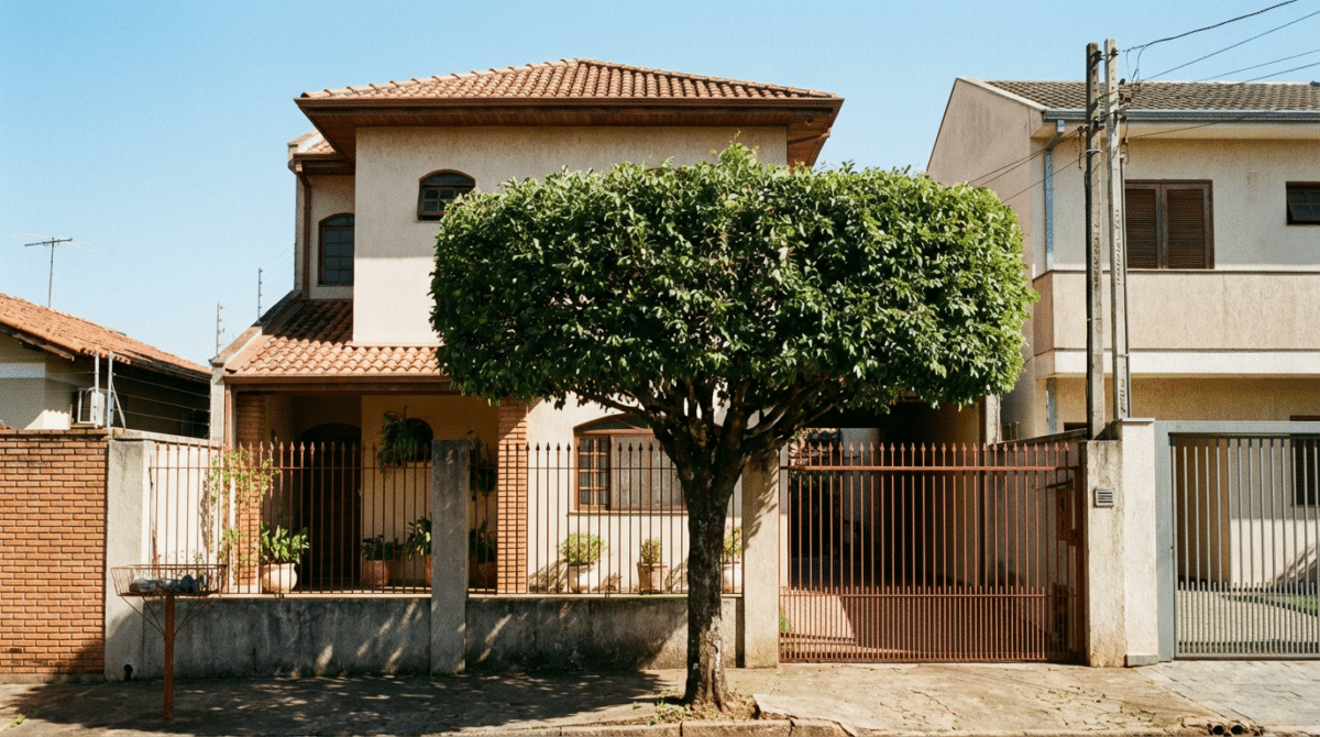 Árvore devidamente podada sem invadir o limite do vizinho.