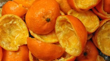 Cascas de laranja - PXHere