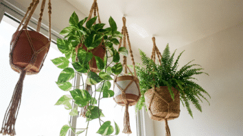 Plantas Suspensas Macramê