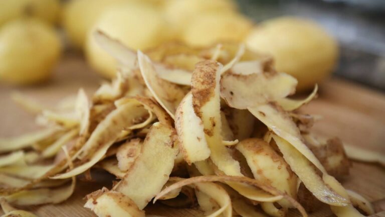 Cascas de batata