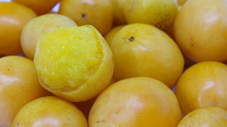 Frutas cajá-manga tropicais frescas