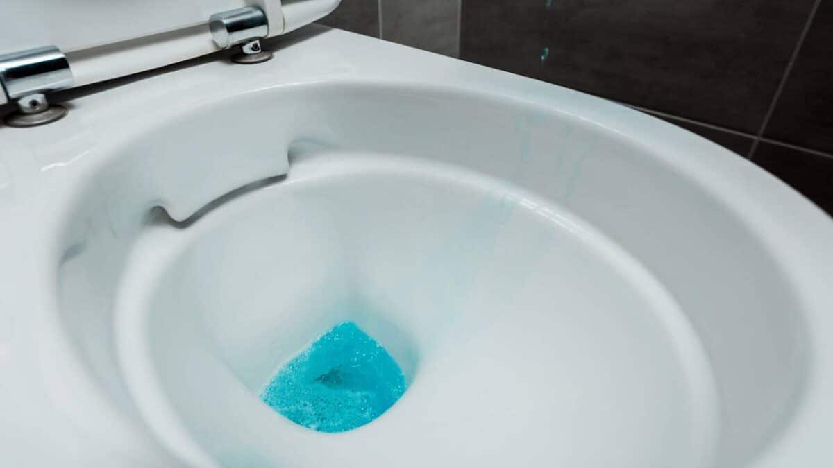 Vaso sanitário limpo