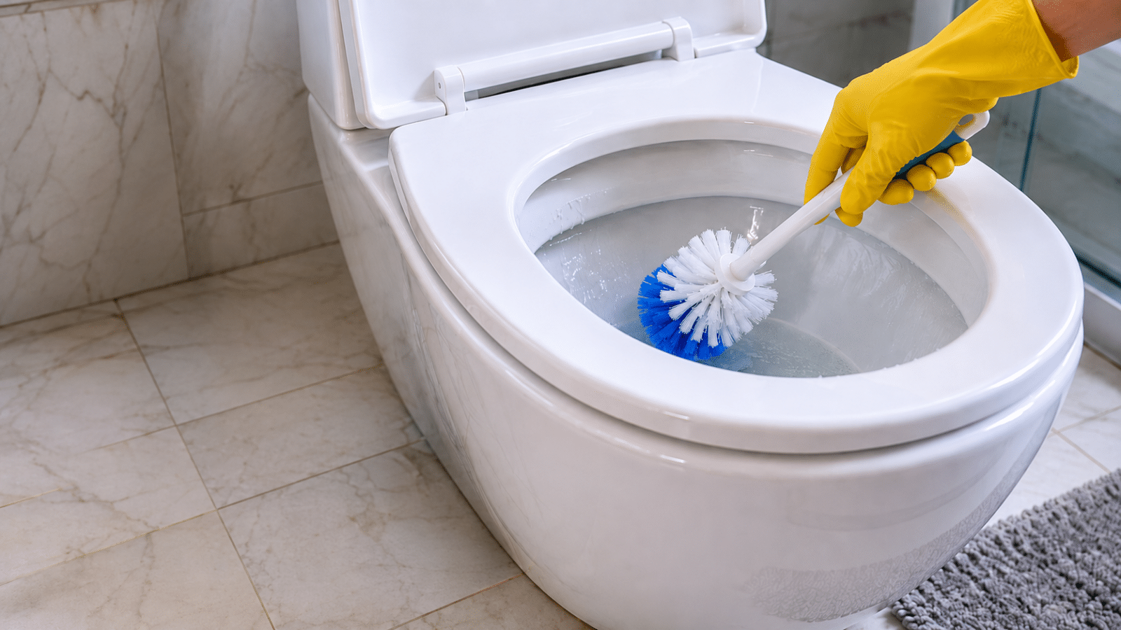 Vaso sanitário sendo higienizado com escova de limpeza, destacando a remoção de manchas e o cuidado para manter o banheiro limpo e organizado.