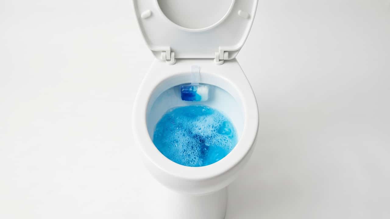 Sanitário com aromatizador de descarga