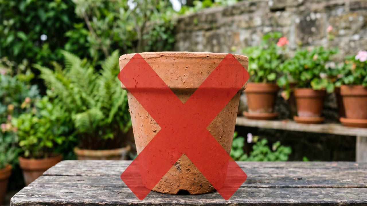 Vasos comuns estão fora de moda, a tendência é reciclável e hoje mora na sua cozinha