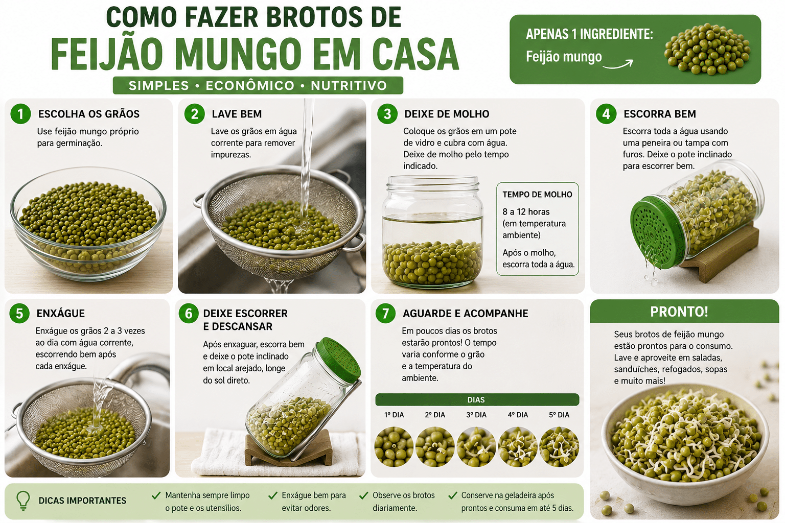 Infográfico passo a passo mostrando como fazer brotos de feijão-mungo em casa. A imagem apresenta todas as etapas do processo, desde a lavagem e o molho dos grãos até a germinação e o resultado final, com brotos frescos prontos para consumo.